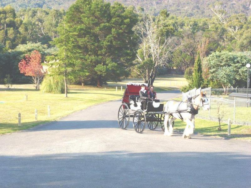 The Grampians Motel Halls Gap Εξωτερικό φωτογραφία