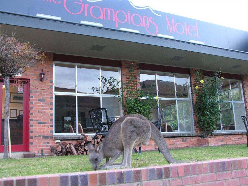 The Grampians Motel Halls Gap Εξωτερικό φωτογραφία